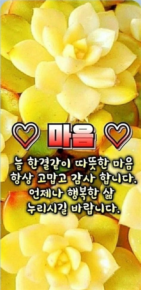 주말 잘 보내셨나요 이번주 화요일에 올라갈 홈트영상은 .